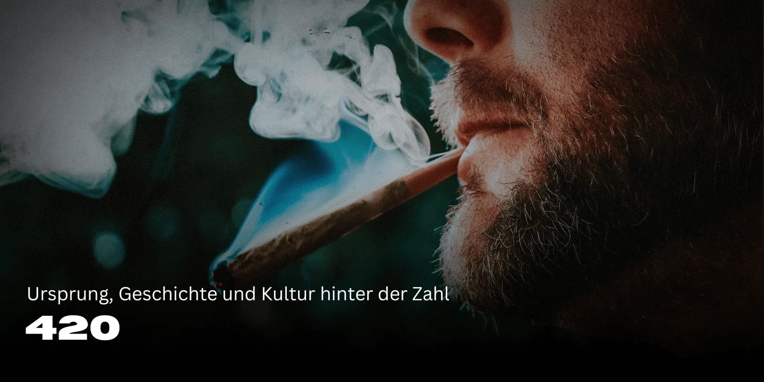 420 Bedeutung: Ursprung, Geschichte und Kultur hinter der Zahl đż