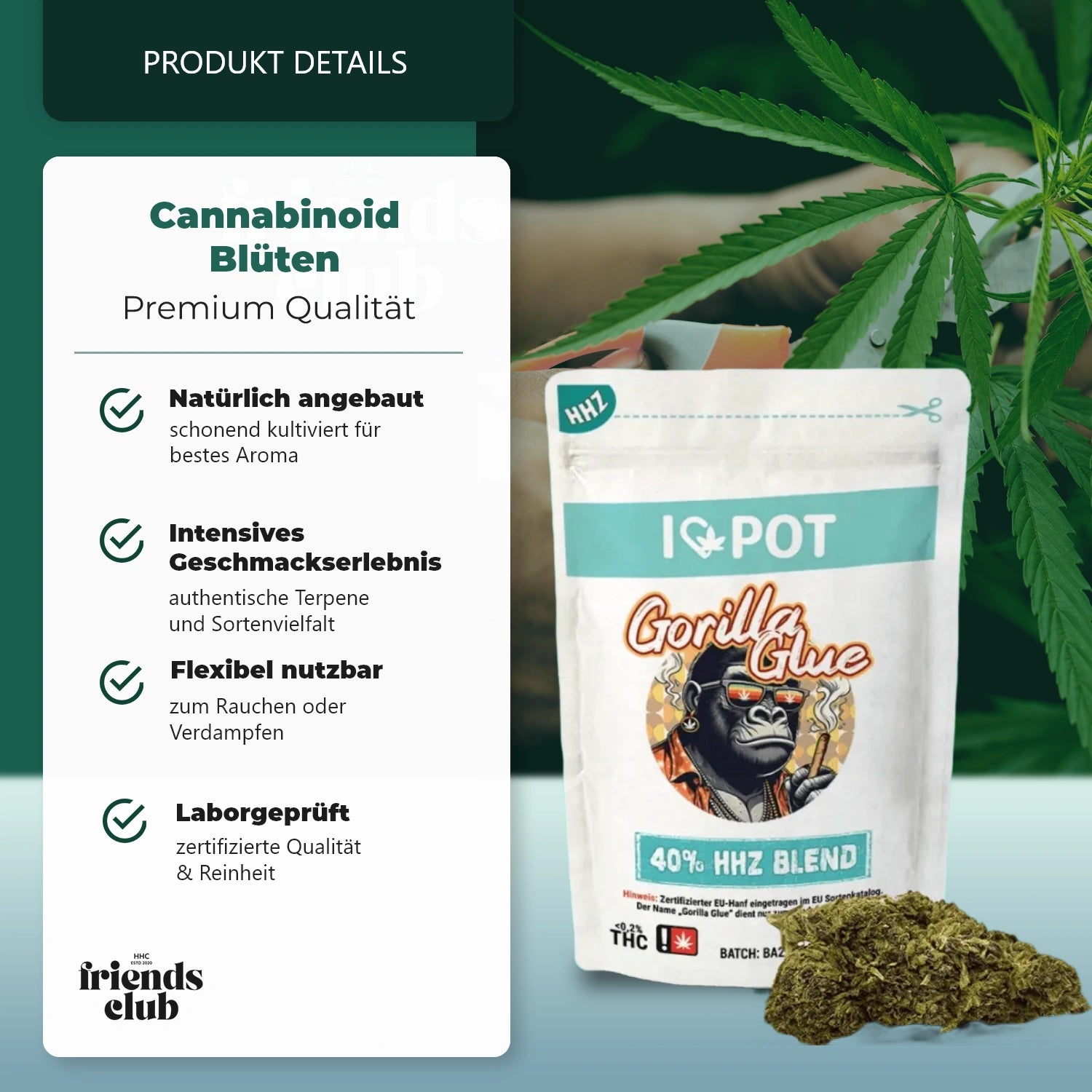 HHZ Blüte Gorilla Glue 40%-HHCFriends