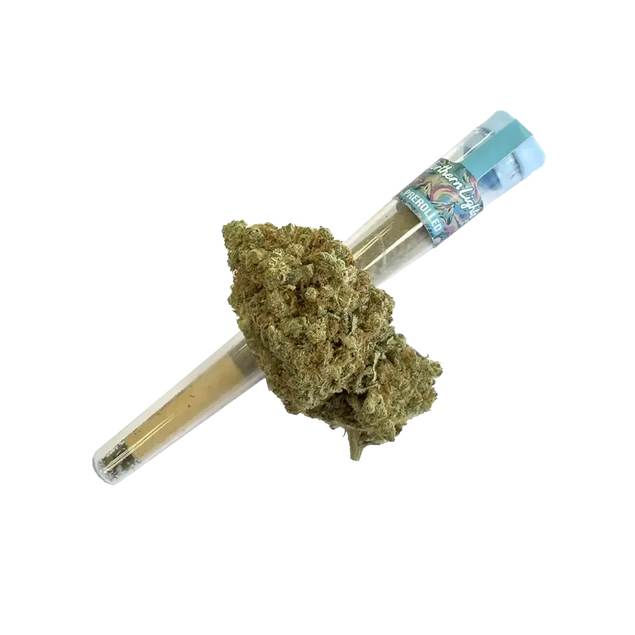 Prerolled HHZ 40% – Northern Light-HHCFriends
