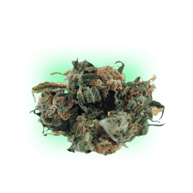 Cannabis Seeds Mango Smile 3 Stück-HHCFriends