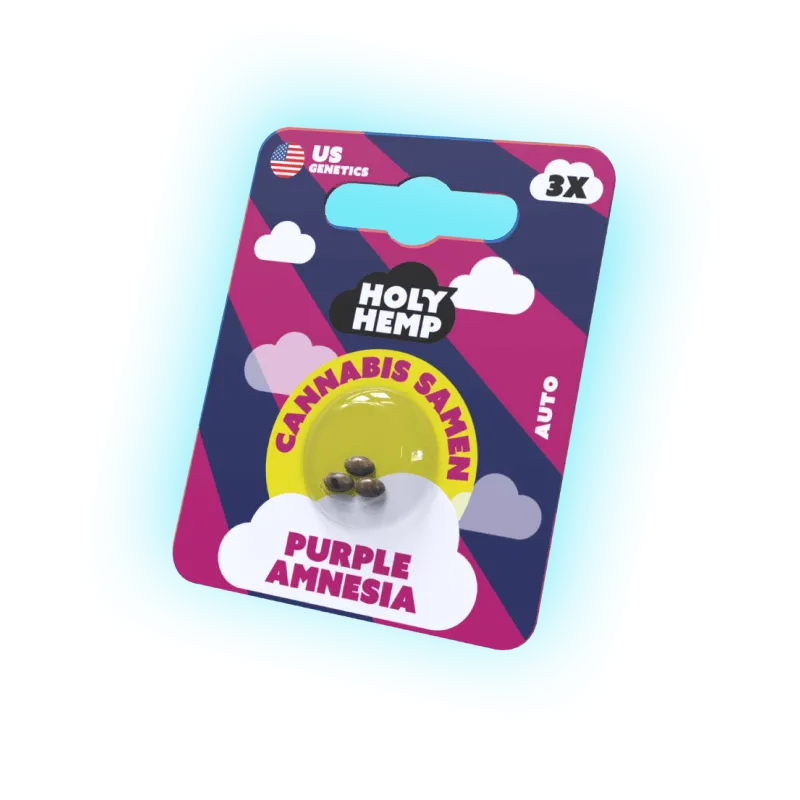 Seeds Purple Amnesia | 3 Samen US Genetics-HHCFriends