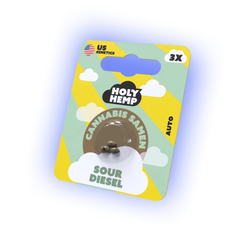 Seeds Sour Diesel | 3 Samen US Genetics-HHCFriends