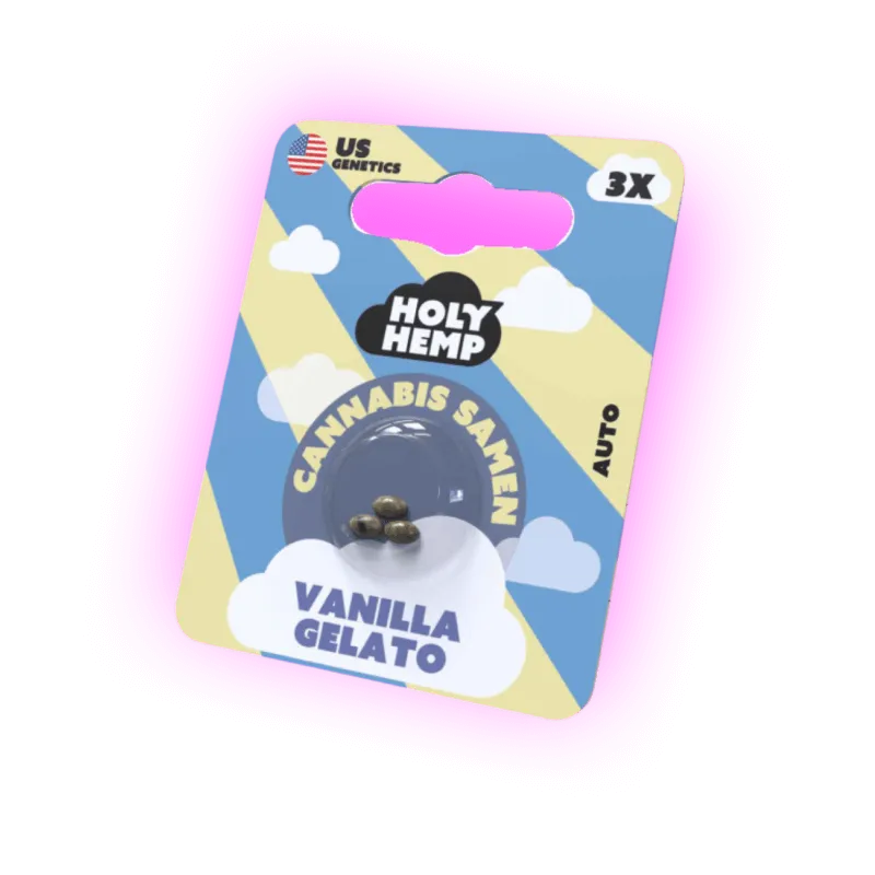 Cannabis Samen Vanilla Gelato 3 Stück-HHCFriends
