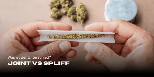 Joint vs Spliff Cannabis Bloemen op de achtergrond vaag en op de voorgrond een Joint die wordt gedraaid.
