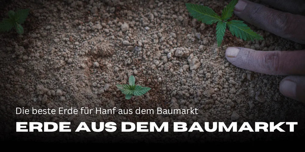 De beste aarde voor hennep uit de bouwmarkt