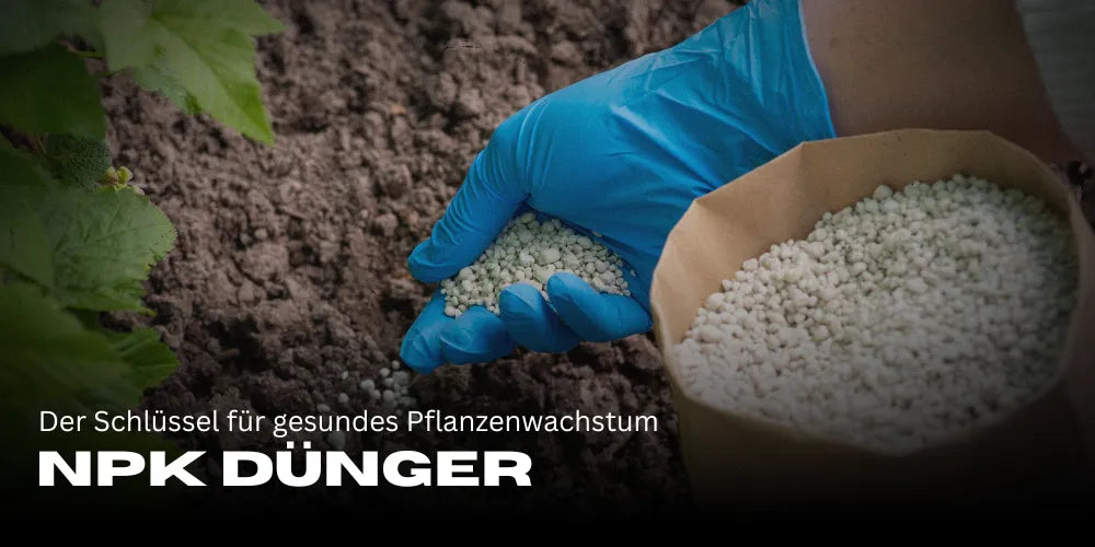 NPK-meststof: De sleutel tot gezonde plantengroei en optimale opbrengsten