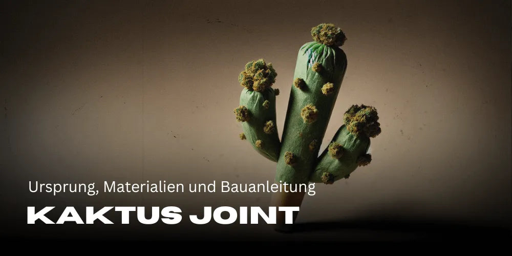 Kaktus Joint: Oorsprong, materialen en bouwinstructie