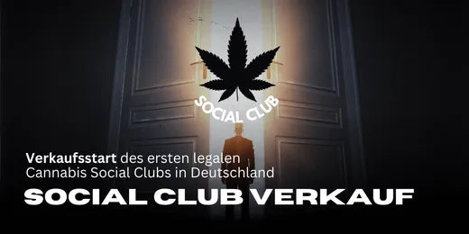 De eerste legale Cannabis Social Club in Duitsland start met de verkoop