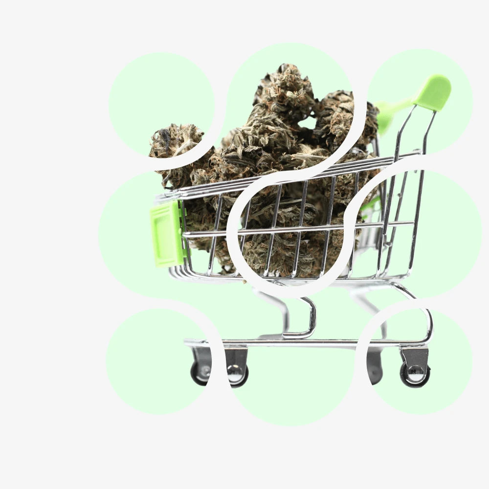 Ausverkauf-Smagro GmbH