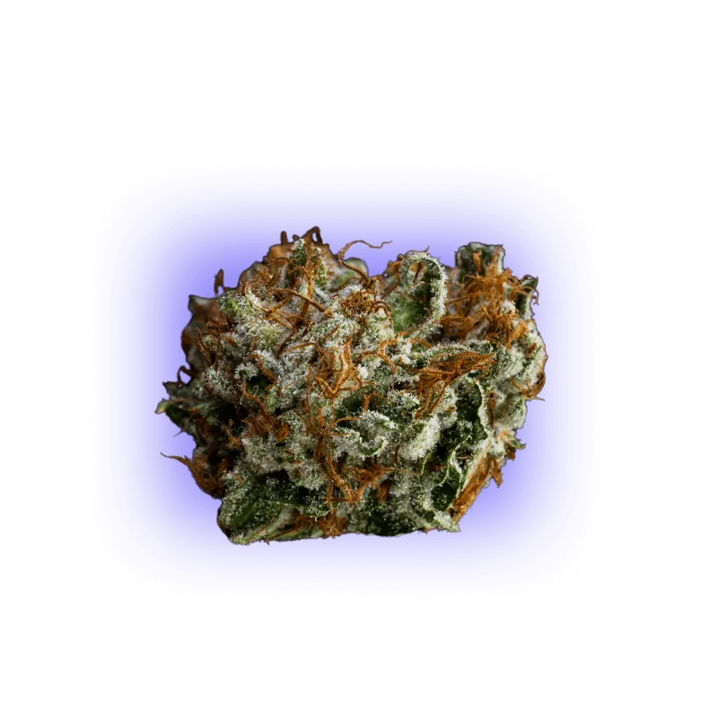 C9 Area Bomb 1g 40%-HHCFriends