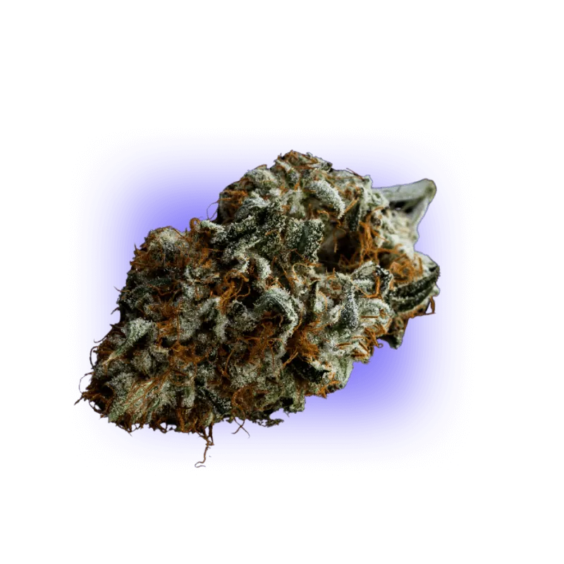 C9 Blue Cheese 1g 40%-HHCFriends