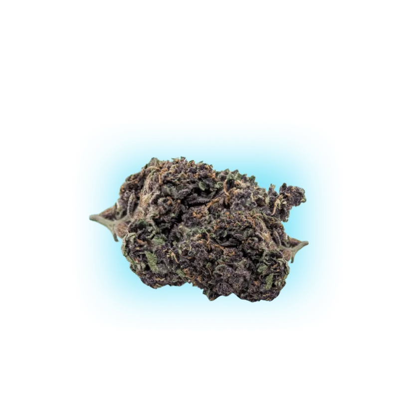 Sweed Cali Ice Cream Cake-HHCFriends