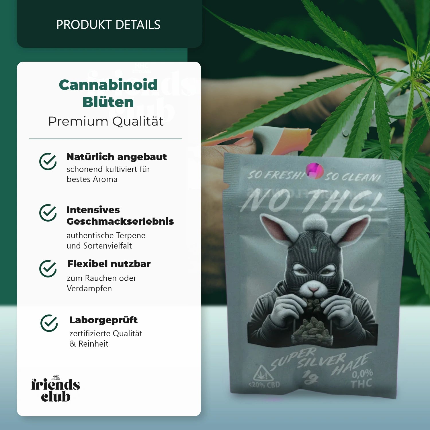 CBD Blüten THC Frei Super Silver Haze 20% 1g-HHCFriends