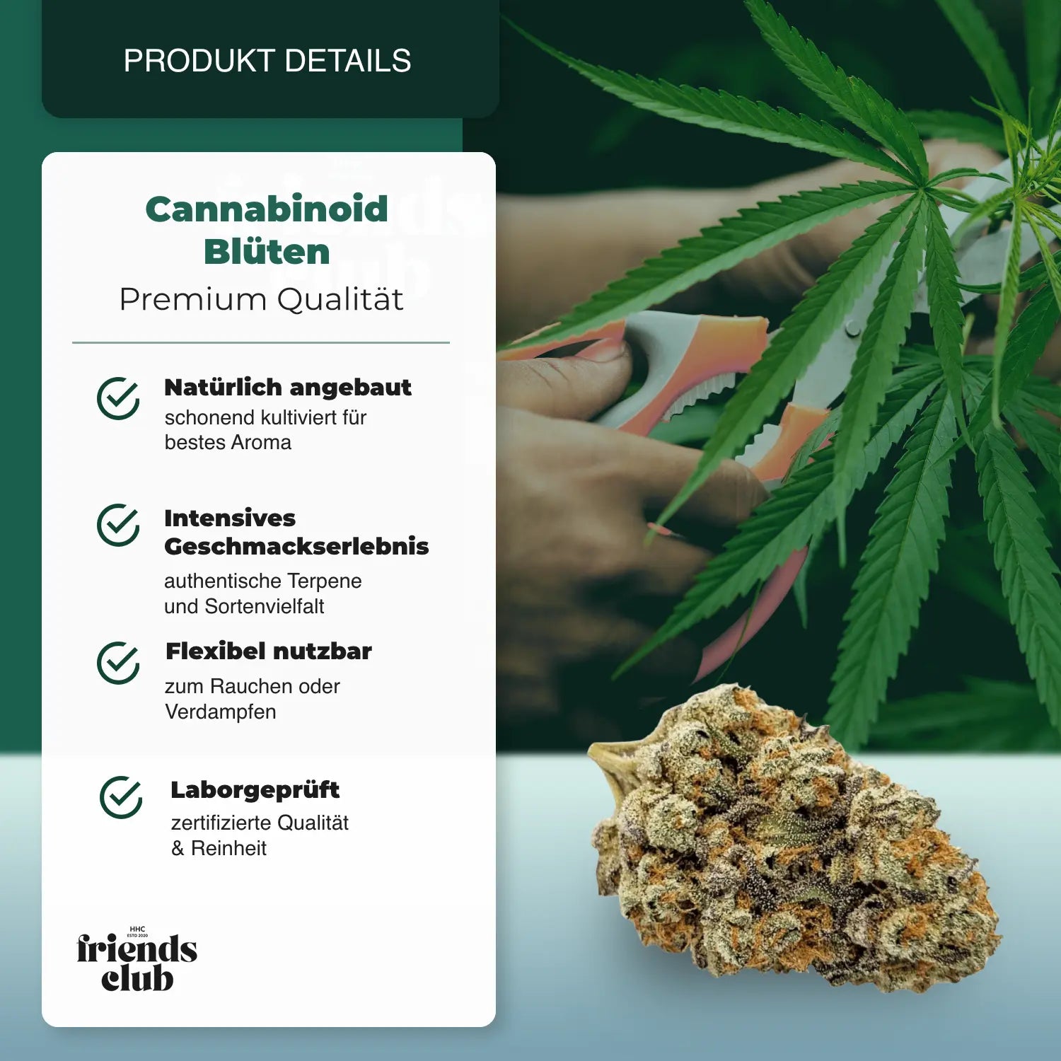 PHC Blüten Lemon Cookies - hhcfriends