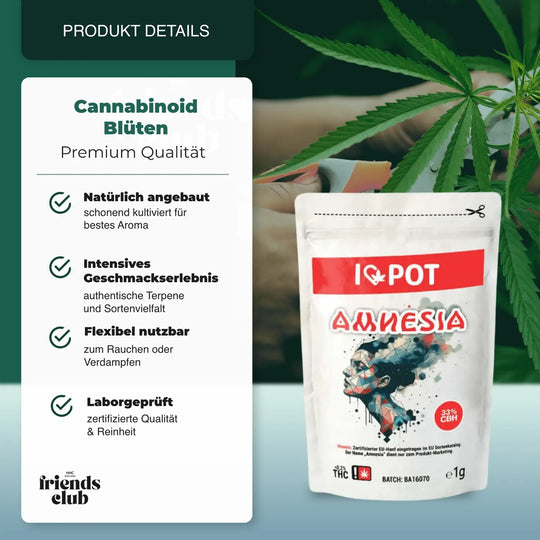 CBH Blüten Amnesia 33% I♥Pot - hhcfriends 