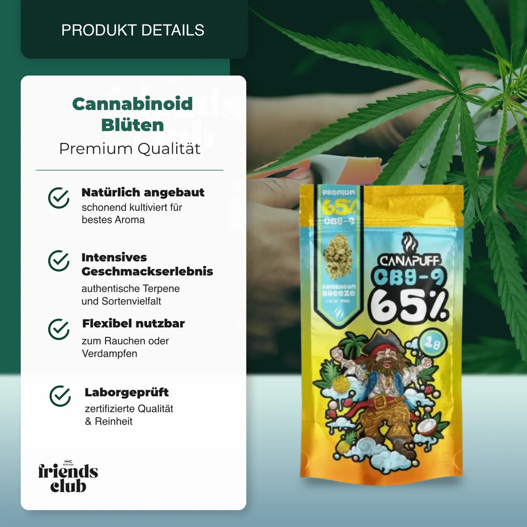 CBG9 Blüten - Caribbean Breeze 65% - hhcfriends
