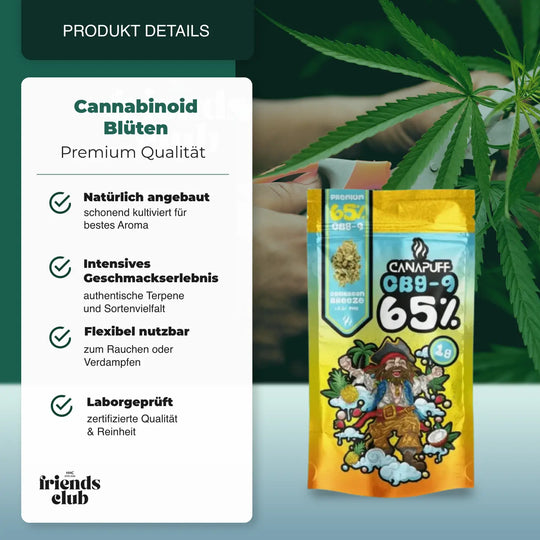 CBG9 Blüten - Caribbean Breeze 65% - hhcfriends