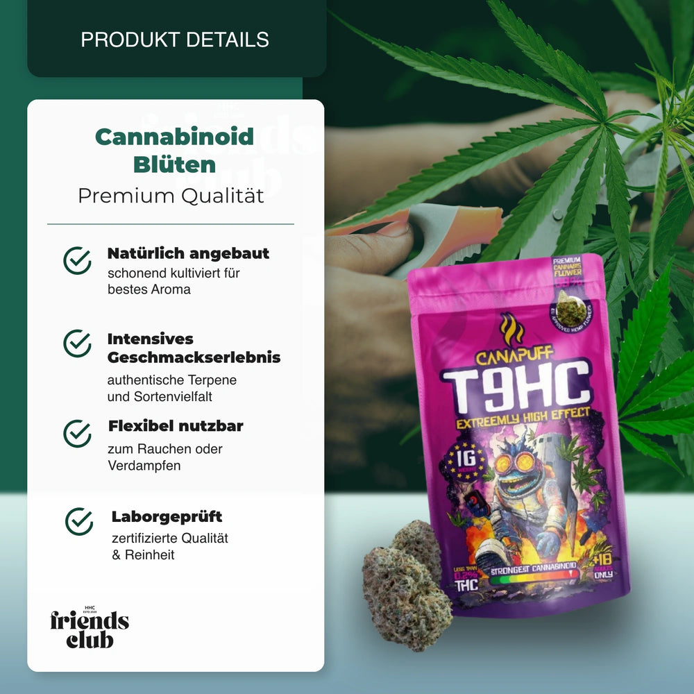 T9HC Blüten Extreemly 99% - hhcfriends