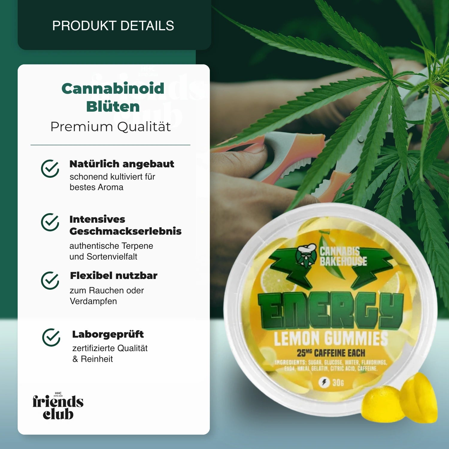 COFFEINE ENERGY GUMMIES - LEMON (30G) - hhcfriends
