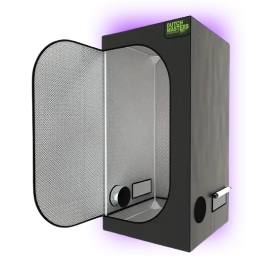 Growbox Dutch Masters Eco 150 (150x150x220 cm)-HHCFriends