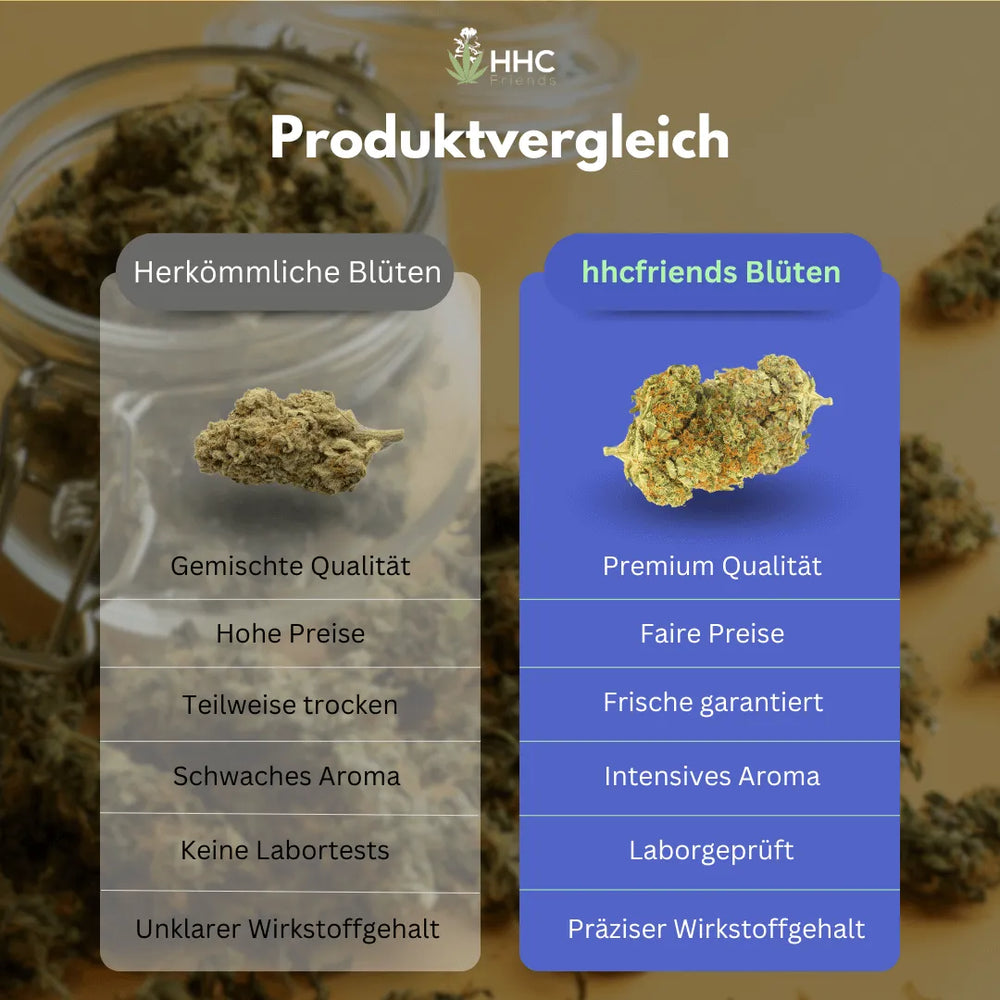CBD Blüte Mango Kush THC Low HHCFriends