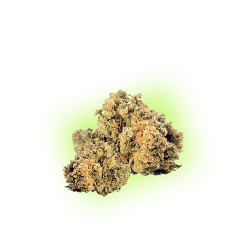 CBD Blüte Mango Kush THC Low-HHCFriends