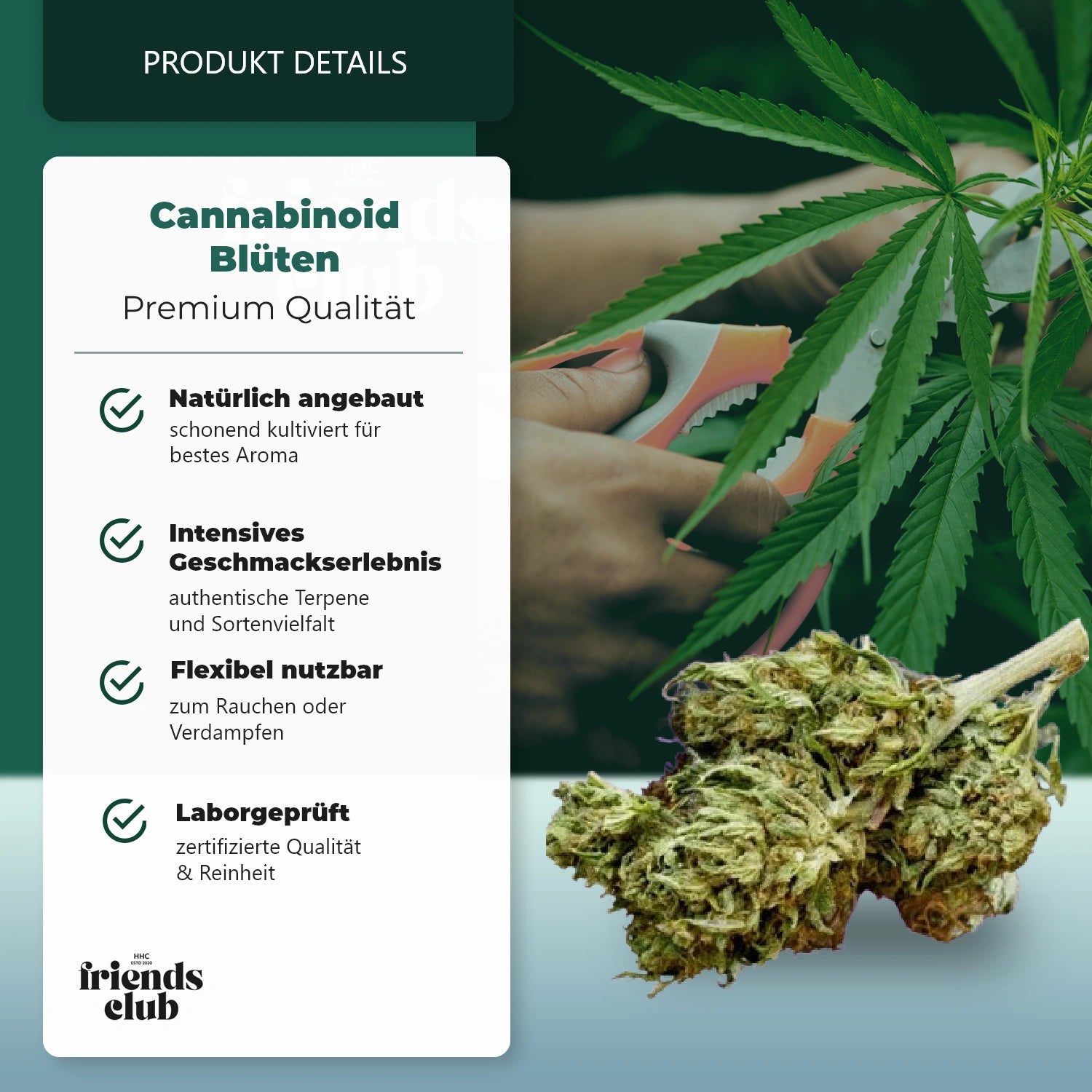 CBD Blüten THC Frei Super Lemon Haze 20%-HHCFriends