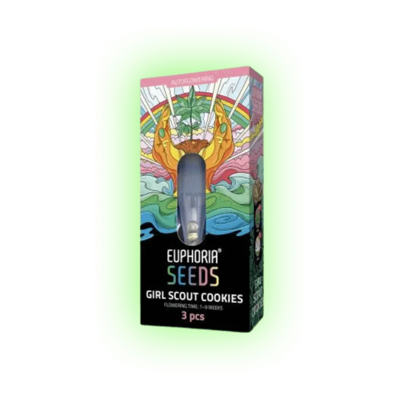Cannabis Seeds Girl Scout Cookies auto. 3 Stück-HHCFriends