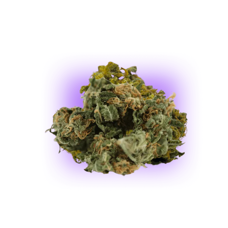 Cannabis Seeds Super Skunk auto. 3Stück-HHCFriends