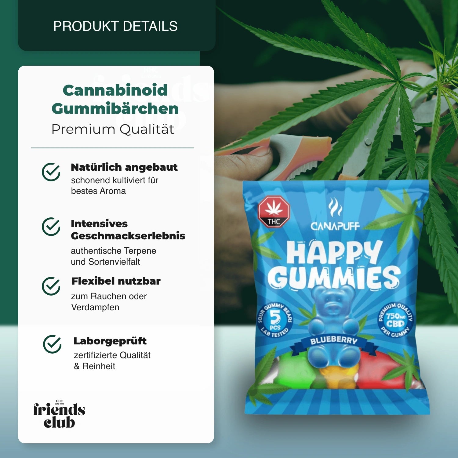 THC Aroma Gummies Blaubeere 5Stk-HHCFriends
