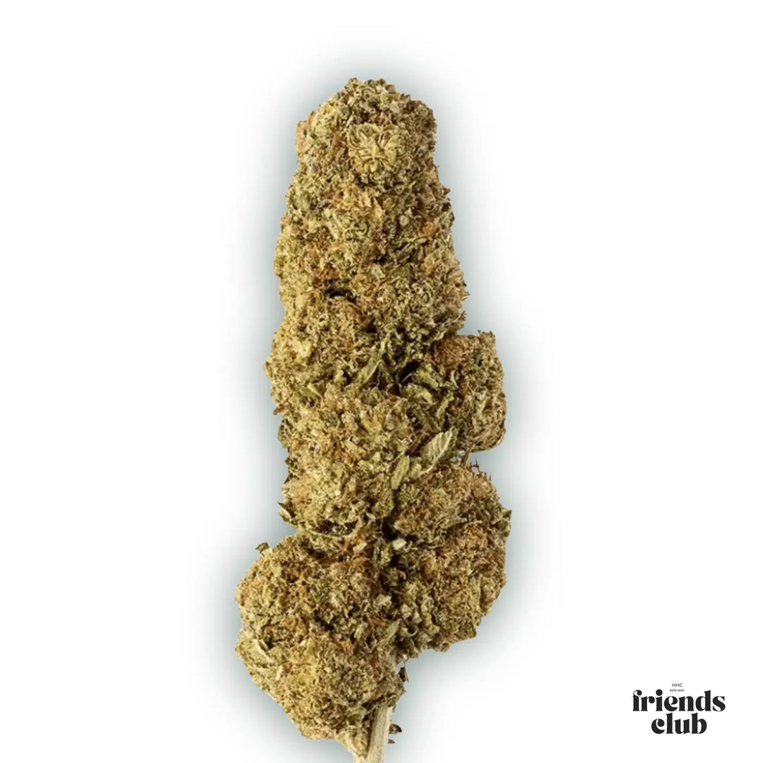 PHCP Blüte Strawberry-HHCFriends