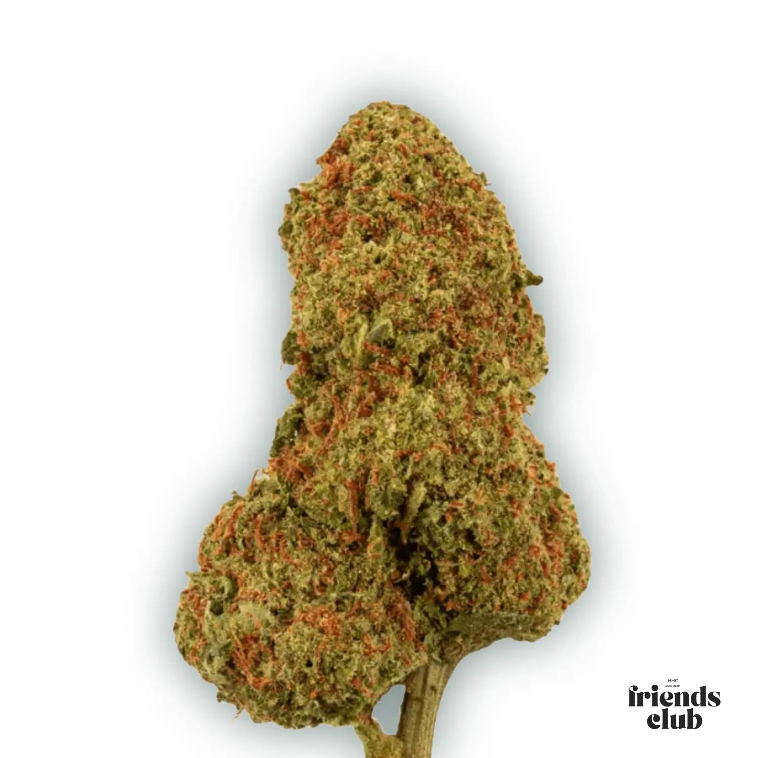 PHCP Blüte Candy Kush-HHCFriends