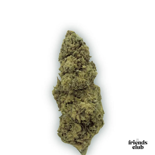 PHC Blüten Cannatonic-HHCFriends