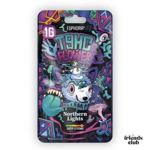 T9HC-Blüten – Northern Light