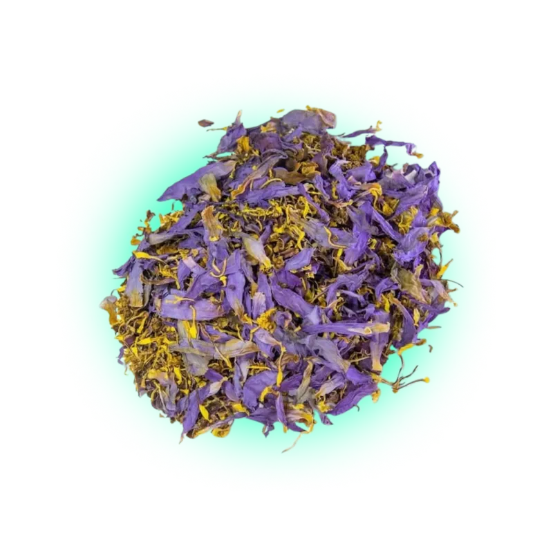 Blauer Lotus Tee-HHCFriends