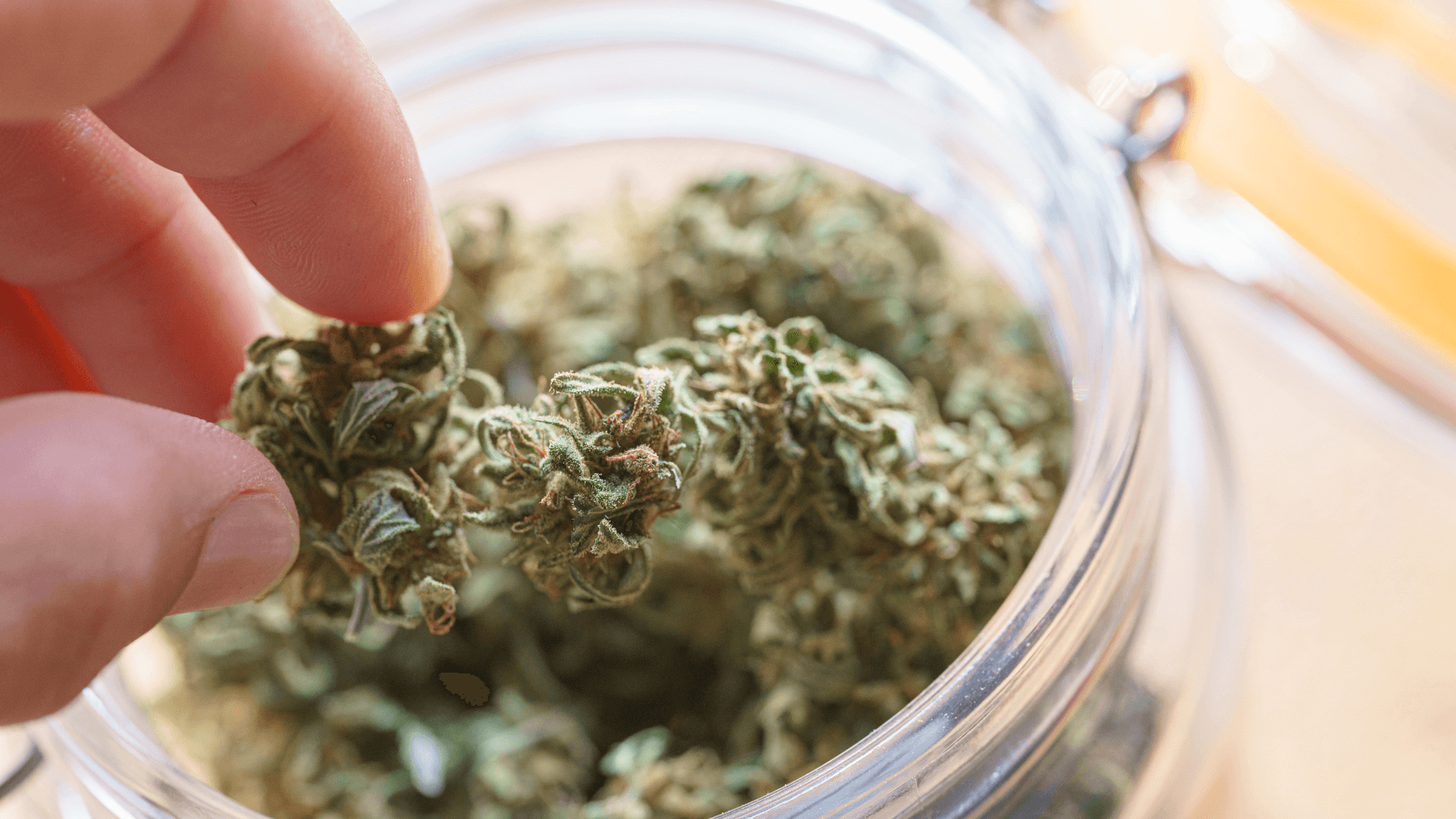 Cinderella Sativa Cannabis Product by HHCFriends.