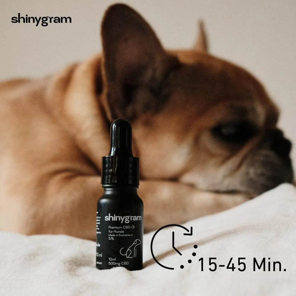 CBD Öl für Hunde 5% HHCFriends